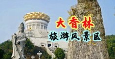 骚逼被我鸡巴操了的视频中国浙江-绍兴大香林旅游风景区